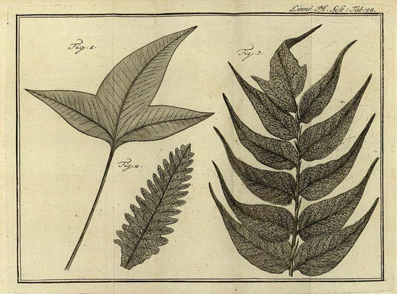 Carl von Linné - Pflanzensystem, 2 Bde. 1786