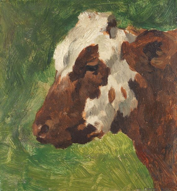 Thomas Herbst - Kopf einer Kuh