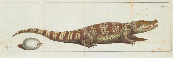 Carl Christian Gmelin - Naturgeschichte und Amphibien, 1815