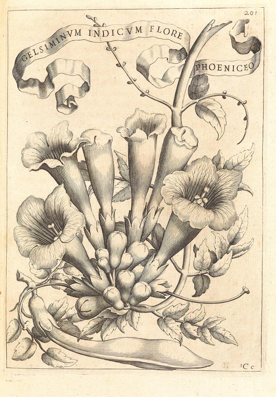 Giovanni Battista Ferrari - Flora overo cultura di fiori, 1638