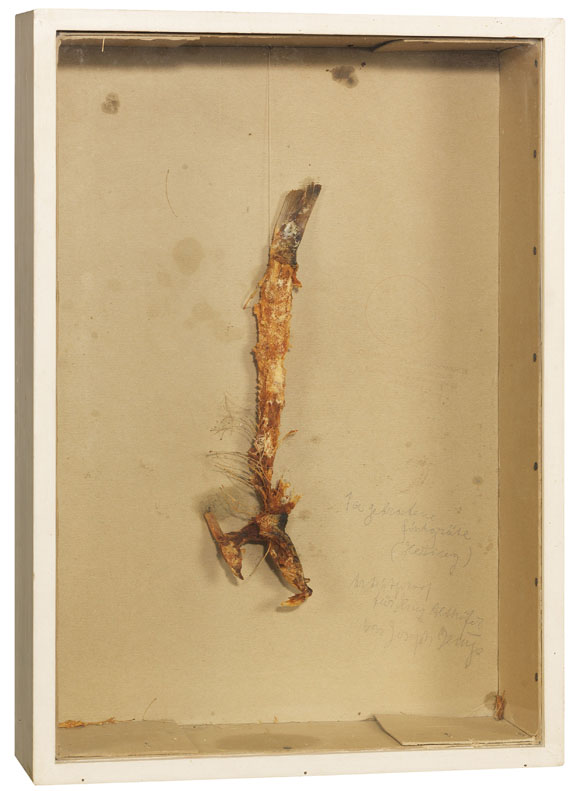 Joseph Beuys - 1a gebratene Fischgräte (Hering) - Weitere Abbildung